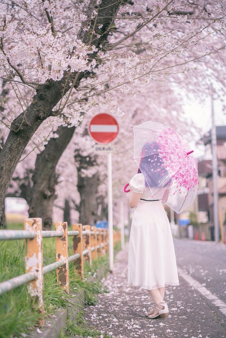 コスプレイヤー紗倉あんずのTwitter画像19