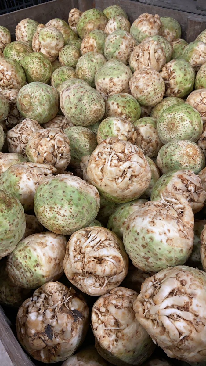 Knolselderij afleveren!