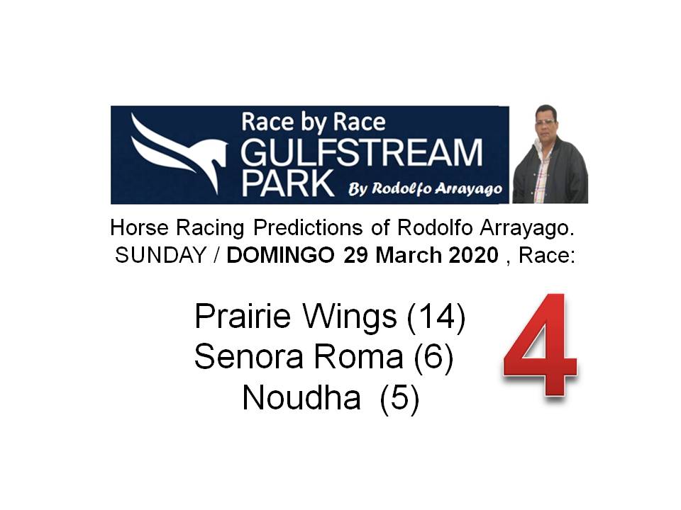 Arrayago's tweet photo. . #GulfstreamPark #Race4 #Gulfstream #Park #Win #Arrayago #Rodolfo #Pronósticos #Datos #Horses #Horse #Races https://t.co/FH8GFojOsx
