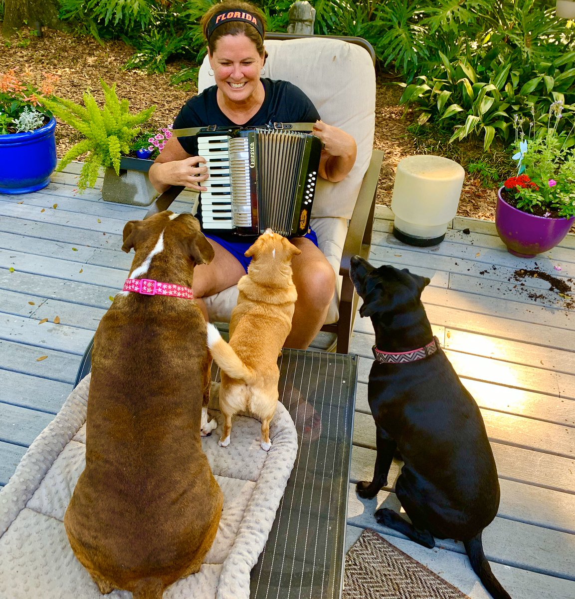 BeckyBurleigh's tweet photo. Entering week 3 of the quarantine. #AccordionLessons https://t.co/PLIv0uq1QH