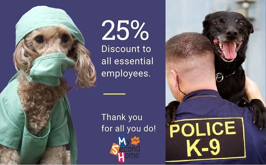 second home dog boarding