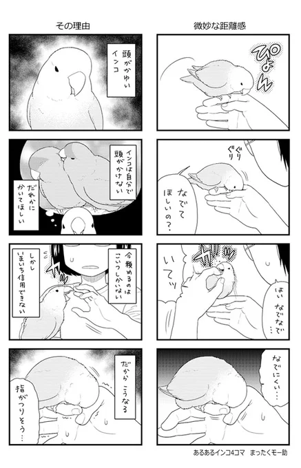 あるあるインコ4こま 67・68
全然信用ない 