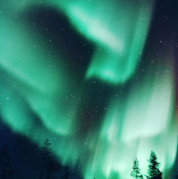 ArcticHoliday's tweet photo. Northern Lights 🌌

#NorthernLights #AuroraBorealis #Auroras #VisitNorway #BestOfNorway #Norway #TravelBlogger #ArcticTravel #ArcticHoliday #ArcticHolidays #TravelGuide #Nature #PicturePerfect #Travelholic #Travel #TravelBug https://t.co/NNx4SSQjKt