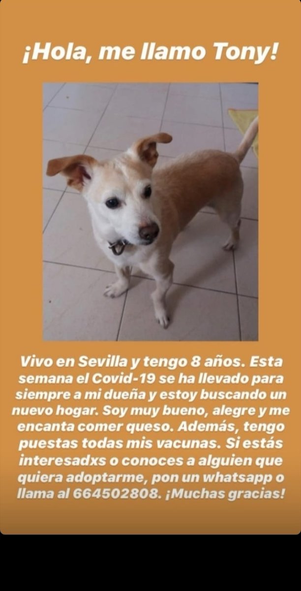 entroopiasss's tweet image. si no podéis quedaros con él al menos retwittear porfi💘