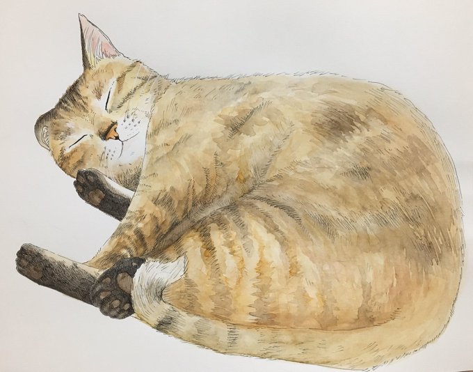 むぎわら猫のtwitterイラスト検索結果