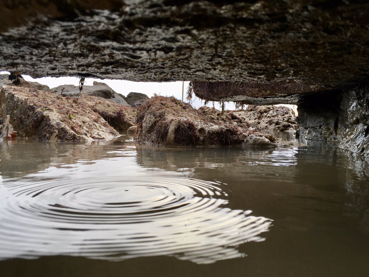 @juliatannerart @isle0fwight Taken underneath one of the ledges there, during a very low tide (before lockdown).