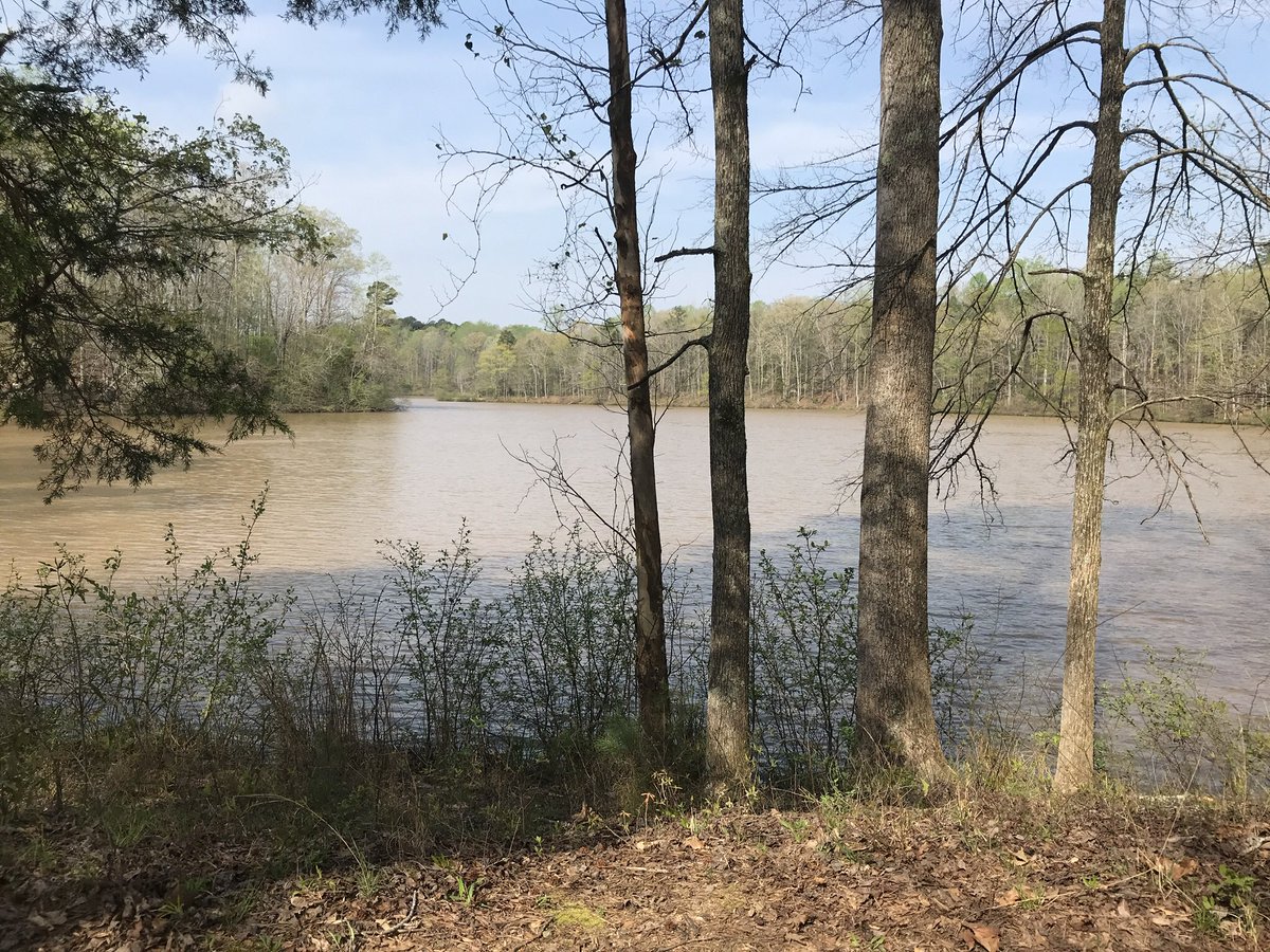 RunNerdGirl's tweet photo. “Keep close to Nature's heart... and break clear away, once in awhile, and climb a mountain or spend a week in the woods. Wash your spirit clean.”
-John Muir
#sundayfunday #ascgreenway #trails #runtherapy https://t.co/RhqRmqT7ml