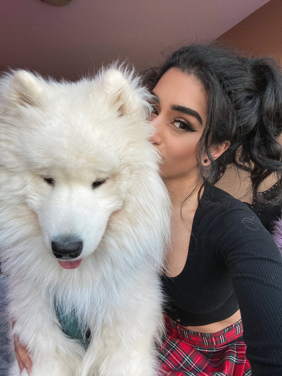 Zastela on Twitter: "so fluff i want to squeeze you both…