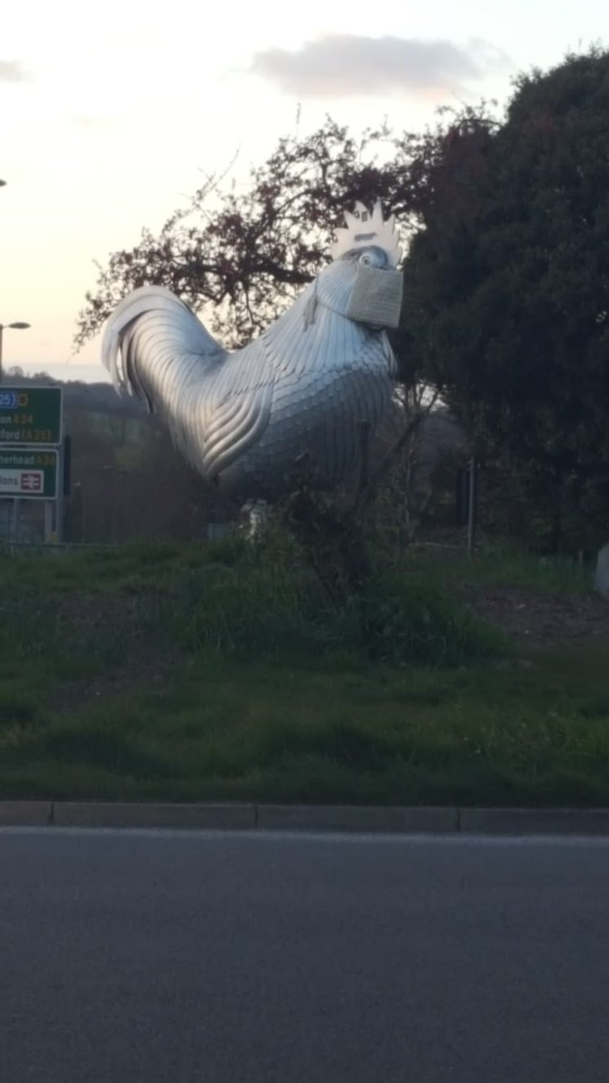 SurreyRoadCops's tweet photo. The #DorkingCock is practicing #SocialDistancing and due to underlying health conditions has chosen to wear a mask.

#COVID19 https://t.co/VXJmvC6G99