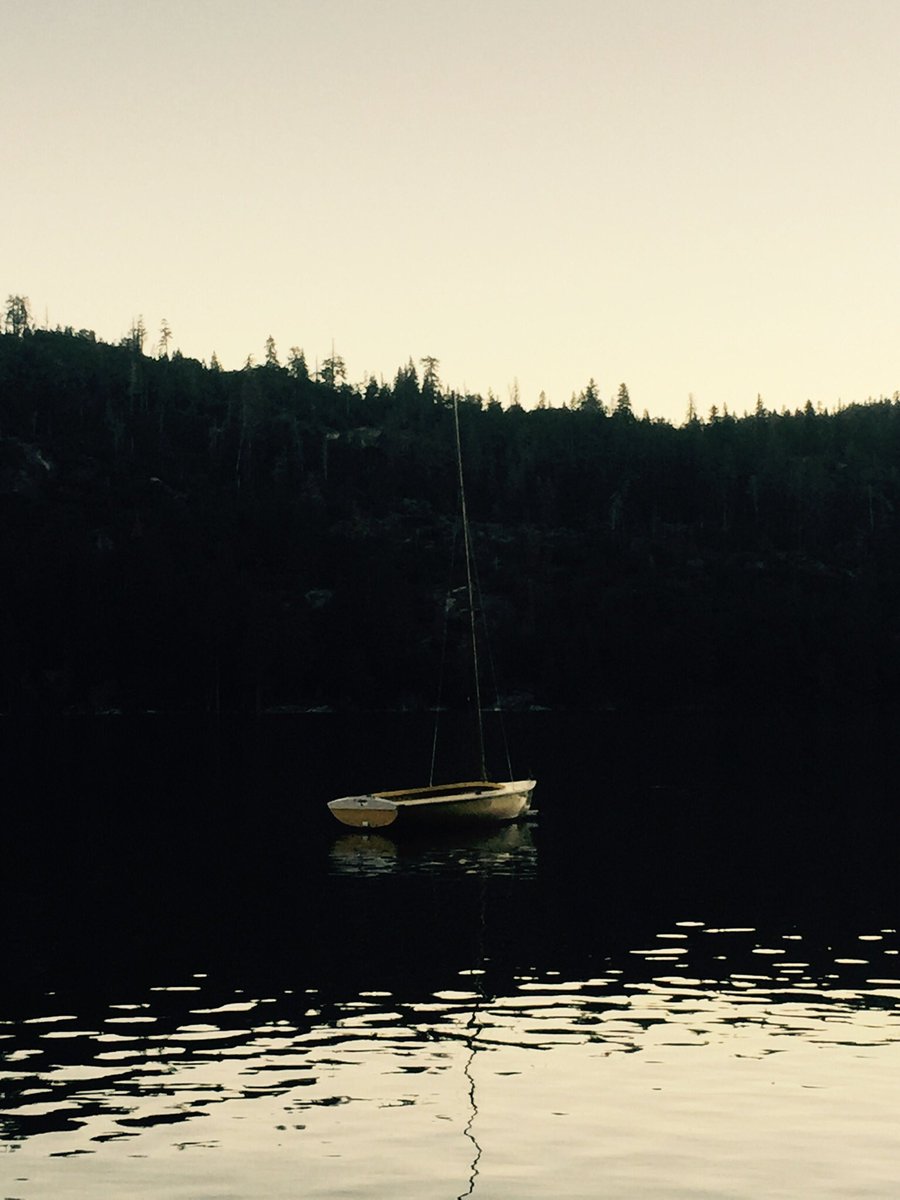 lucca_the_jucca's tweet image. Happy Sunday!!! 🌞 
Grateful for another new week with new opportunities and experiences! #PRDOGS