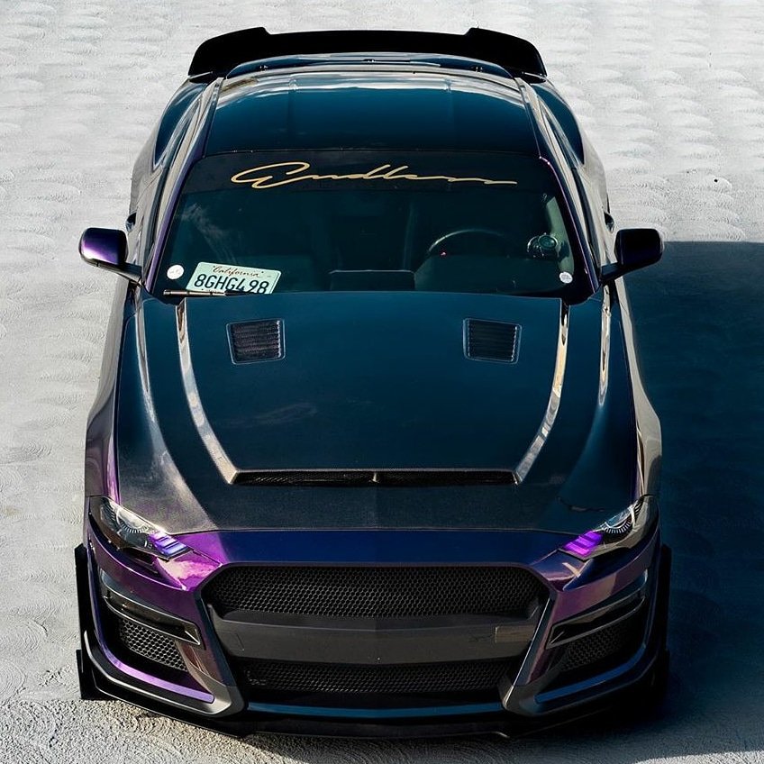 ModdedMustang's tweet photo. Well Hello
❤ COMMENT👇
.
Follow @ModdedMustang
#mustang #s550only #mustangtopic #moddedcars #carphotography #carswithoutlimits #mustangaddicts #americanmuscle #mustangfanclub #mustangsofinstagram #lowlife #mustangnation #theponyaddicts #mustangsonly #worldwidemustangs https://t.co/i2Pzw68Jq3