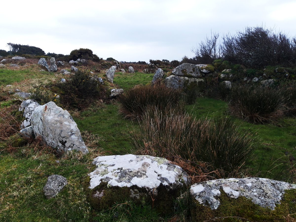 Bodrifty Settlement may have been inhabited as long as 7000 years ago so may even pre-date Carn Euny/Bosullow Trehyllys mentioned upthread. 8 structures surrounded by a protective wall. Over 3 acres so pretty extensive in its day. #PrehistoryOfPenwith