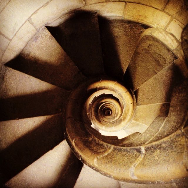 原田郁美 スペインの葡萄畑から On Twitter 外出禁止 二週間目にして 庭に住むカタツムリの美しさを発見した 幼き日のガウディも 自然を観察する事で その美しさに魅せられたのだろう サグラダファミリアの 螺旋階段を思い出した スペイン 外出禁止