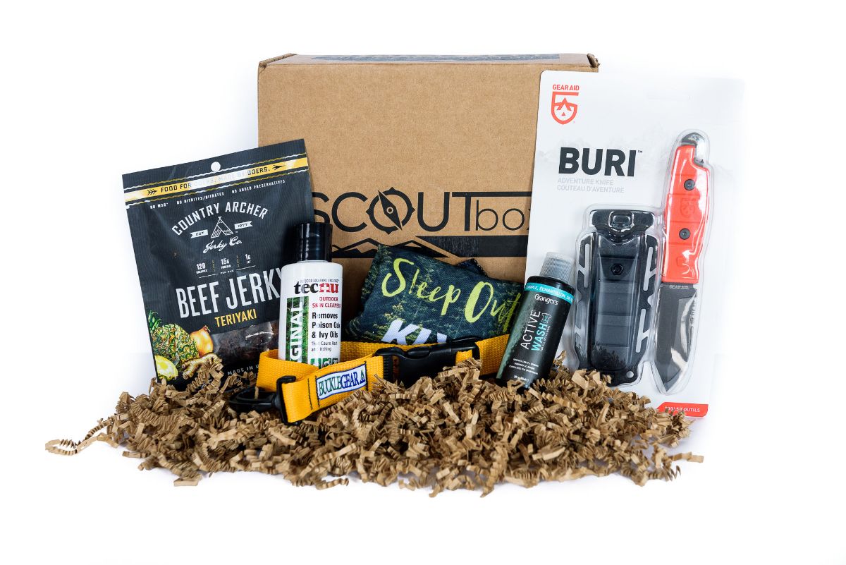 SCOUTbox tweet media
