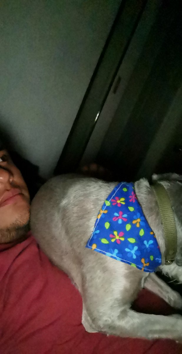 Carlos_Dc_M's tweet photo. @TuitEnBlanco Decidi�� que era buen momento para poner su lomo en mi cara 🥰 https://t.co/7sdP64IgoD