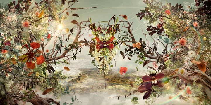 Brindille_'s tweet photo. #photos #collage by artist Ysabel LeMay https://t.co/Kyg9qwz4KF