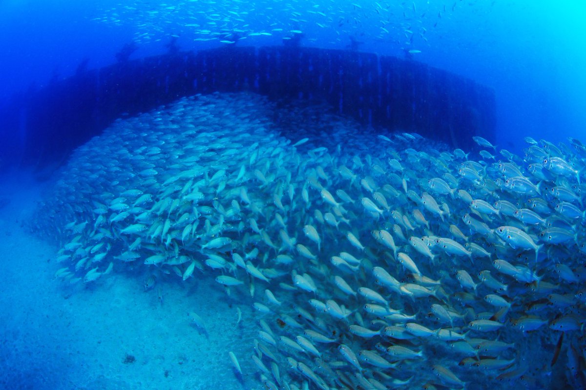 AtlantisLZT's tweet photo. DISFRUTA DEL TIEMPO - CARPE DIEM

Esta semana le toca al fotógrafo @ArturoTelle que nos ha regalado unos fotones de Lanzarote para que podamos submergirnos en nuestro imaginación.
.
Simplemente cierra los ojos, y SUEÑA!!!!  Y después del encierro, nos vemos en el AZUL! https://t.co/ndGURpvxfd