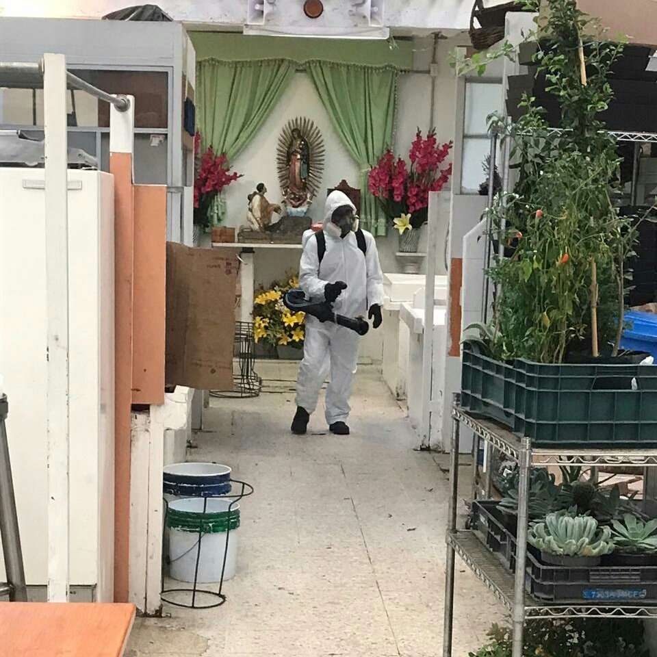MHGOByJ's tweet photo. Vecinas y vecinos de la @AlcaldiaMHmx, les informamos que hemos concluido la 1er. etapa de sanitización para prevenir el virus #COVID2019mx, con los mercados #PradoSur, #SanIsidro zona y anexo, #MonteAthos, #PradoNorte y #Escandon. 

#MéxicoUnido 
#MHelCorazónDeLaCapital https://t.co/0r8bVAsGjZ