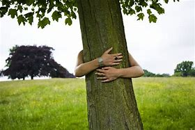 #treehugforhealth - post your hug and share - encourage children to take a picture of hugging a tree in their garden and share here thank you lets get this to go around the world.