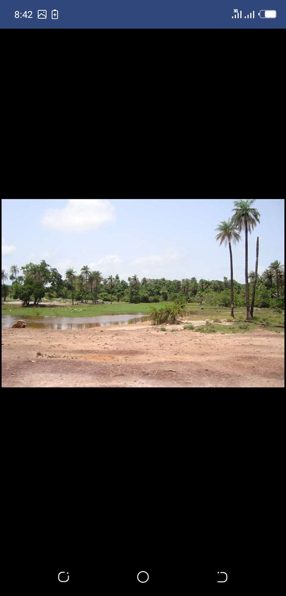 abrahim99306486's tweet photo. This is a place where we want to build a church for our community so we are asking for your donation and support for the sake of the good Lord.  

That's is the bank details 
Account name: Mamour sey
Account number 4010601957 https://t.co/HjEOs3dY2a