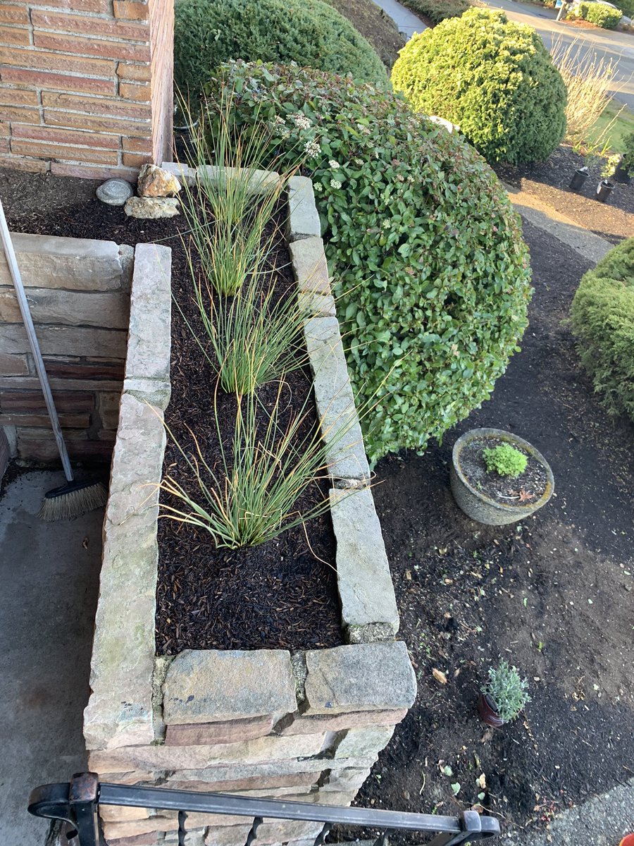 SmthOperAtr's tweet image. #heyswansons We’re updating the front of our house this summer and are looking for some annuals to pair with these grasses.  These beds are west-facing and get lots of sun.  We’ve got brick with black trim and our front yard plantings are white, pink, and purple.  @Swansons