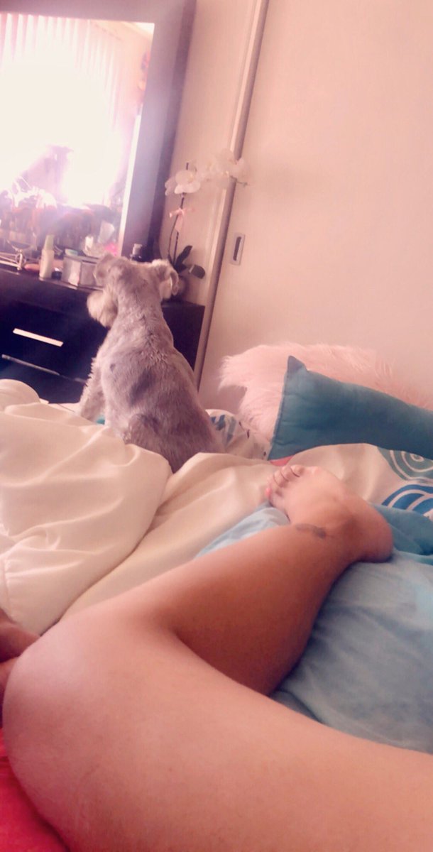 marianuka24's tweet photo. Seguimos en la camita mi bebé y yo... #FridayYo 🐾🐾 https://t.co/qJj4KBQ44H