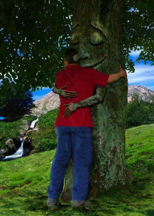 #treehugforhealth 
This is good for our children's emotional health - hug a tree today and post your pictures here. We are now on Pintrest and you can find us on facebook at Twas The Night Before Christmas - where we campaign for children's health.
