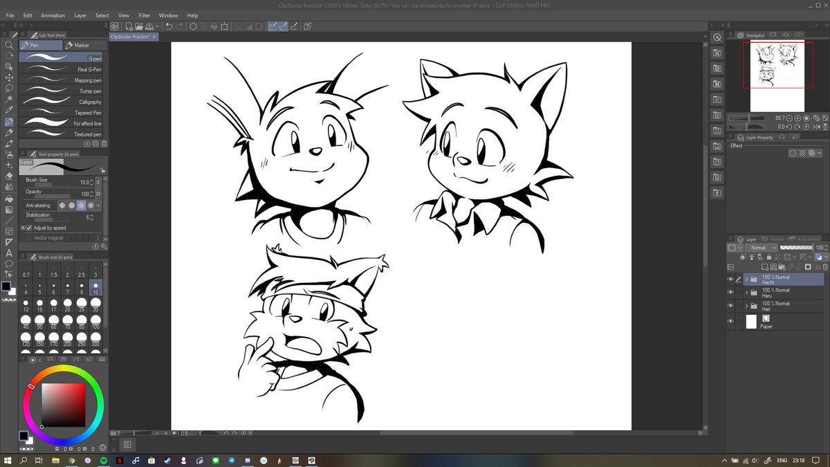 MBR_AHU's tweet photo. #Hari #Haru #Hachi #3Ha #Kemono https://t.co/fXdfL4fHuc