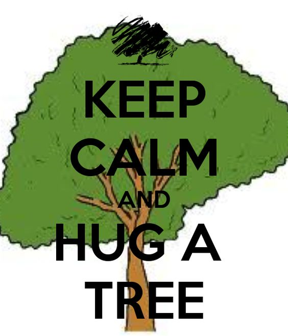 #treehugforhealth