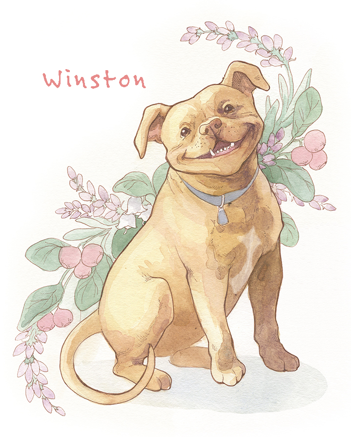 OniPress's tweet image. We dare you to not smile when you see @KateZStone's dog Winston by @Kimberlistudio or @JasAmiri's cat Boo Radley by @JvElphick92 #quarantinepets #OniPets