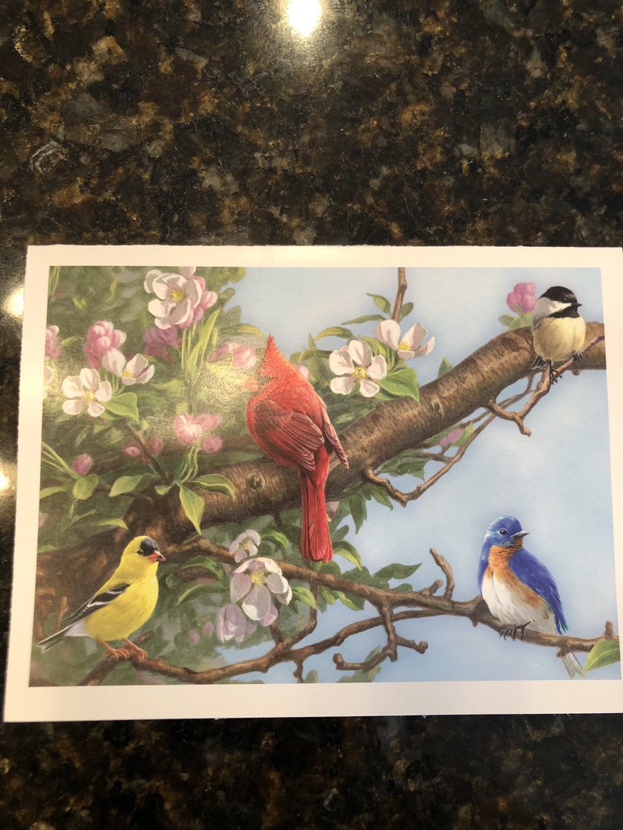 Nasi Anastasio tweet media