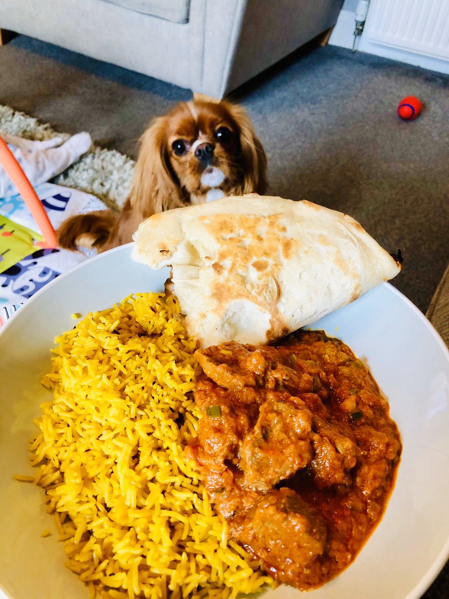 Day 4 seems to be a double. Something yellow and an animal.

Here’s some yellow pilau rice with a hungry wee animal watching and waiting for scraps 💛🐶🍛👀😋
<a href="/Kirkcaldywestps/">Kirkcaldy West PS and ELC</a>
