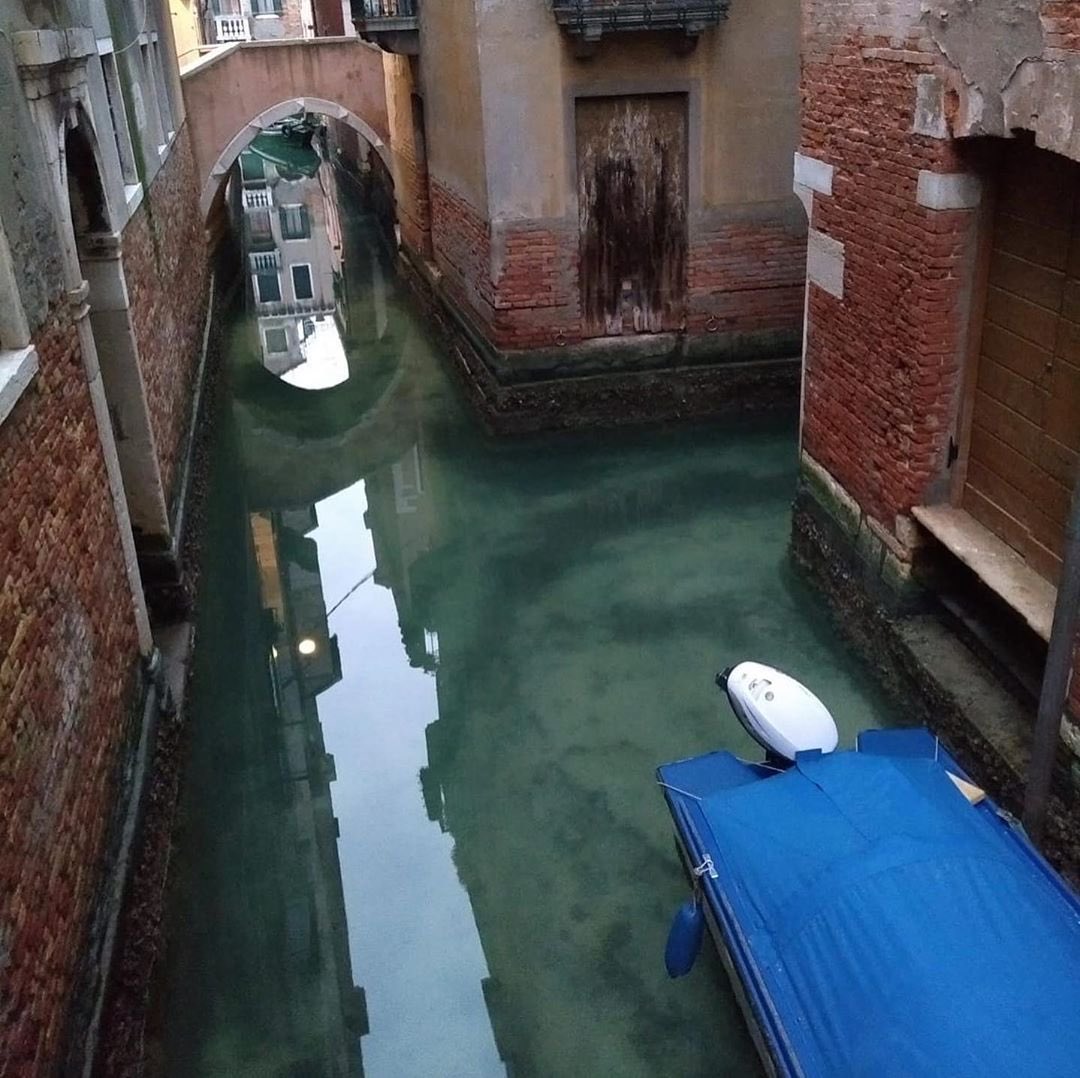 An unexpected side effect of the decrease of traffic and tourism: Venice is the clearest it has been in 60 years, and dolphins have been spotted down in southern Italy, swimming in clearer water. 

📸 - @lexdesignagency