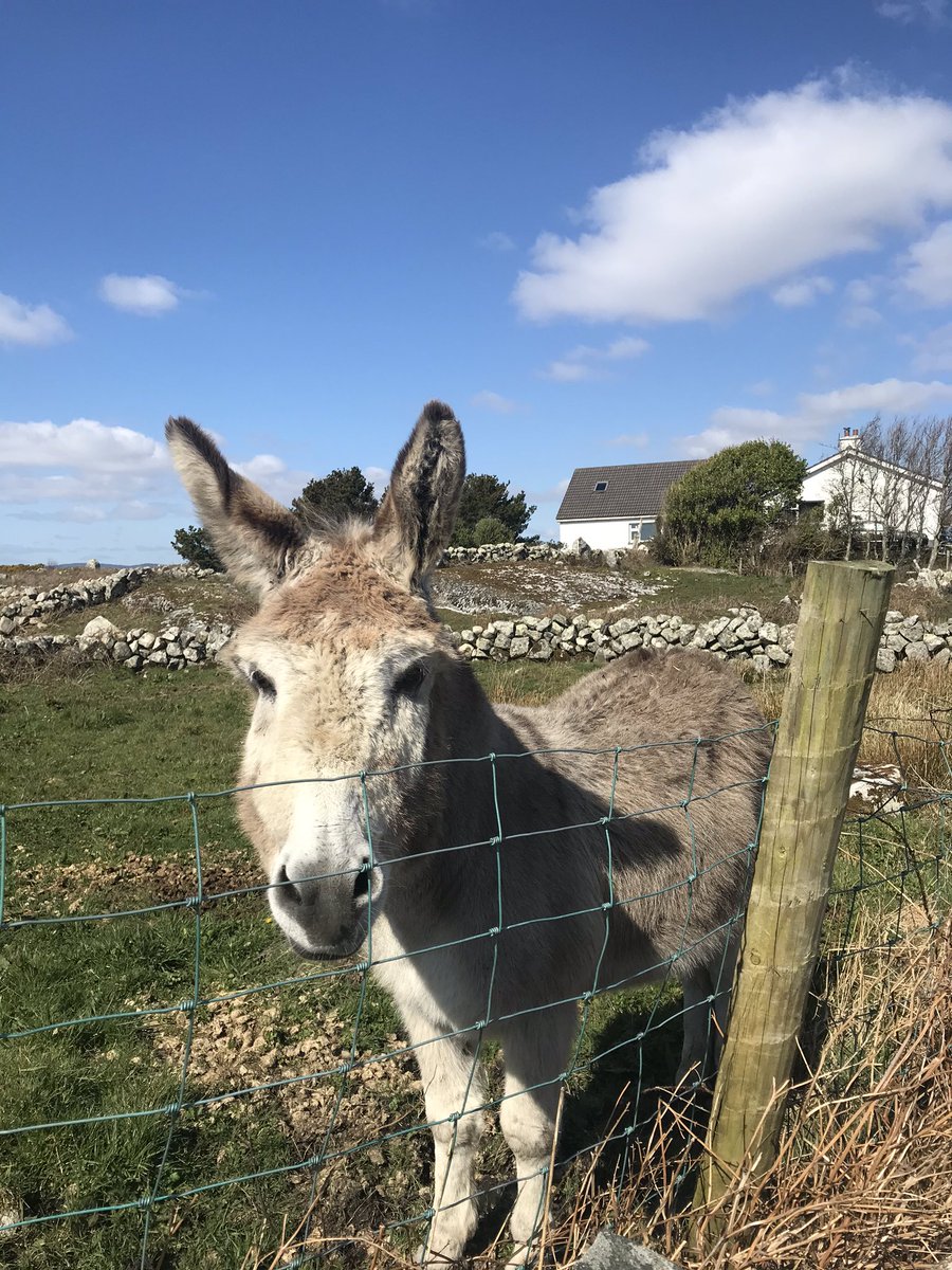 Full of smiles on a sunny March day #COVID19 #2kmfromhome #WildAtlanticWay #clocksforward