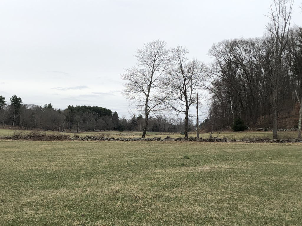 WymansWonders's tweet photo. Where are we walking today, Julie McCoy? #SOLC20 #SOL20 https://t.co/GFBdA8s6WN https://t.co/kXDivYyreW