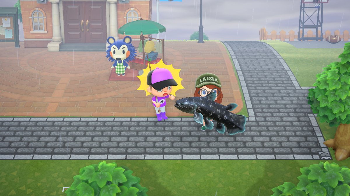 #AnimalCrossing #ACNH #NintendoSwitch