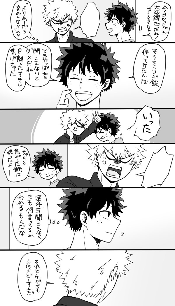 心意気は勝デク(つきあってない)
個性事故で一時的に耳が聞こえなくなったデ
(わかっちゃうとこもあればまだまだわかってない部分もあるといいよねってこと言いたいはずだった)
※呼吸をするようにプロヒ設定で同居させている 