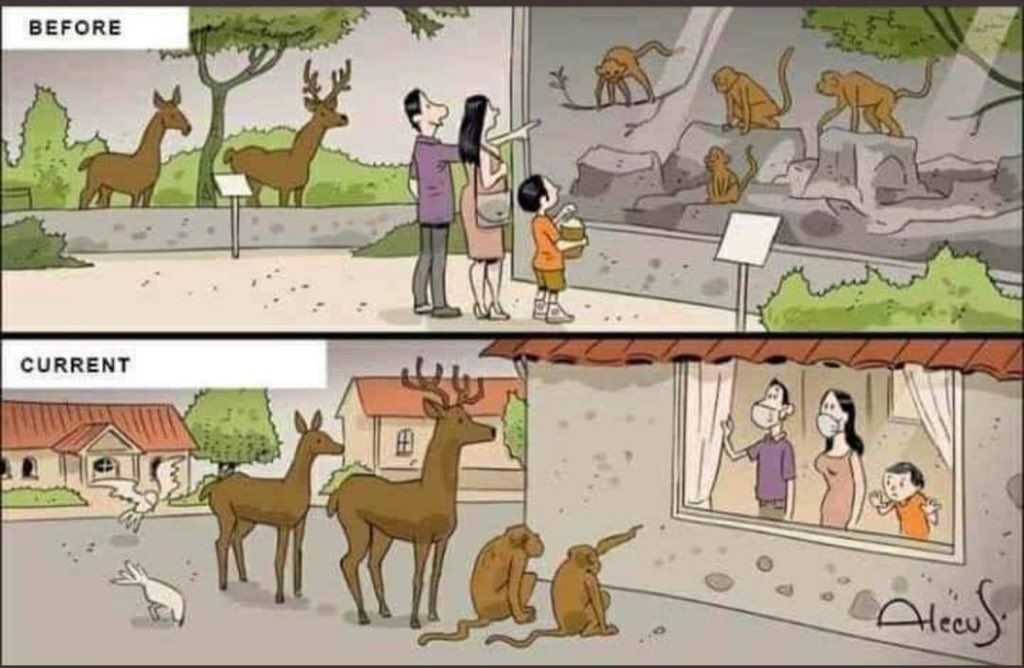 bgm_byrk's tweet photo. Şimdi onlar özgür bizler evdeyiz doğanın intikamı... https://t.co/i1uPgKuPFK