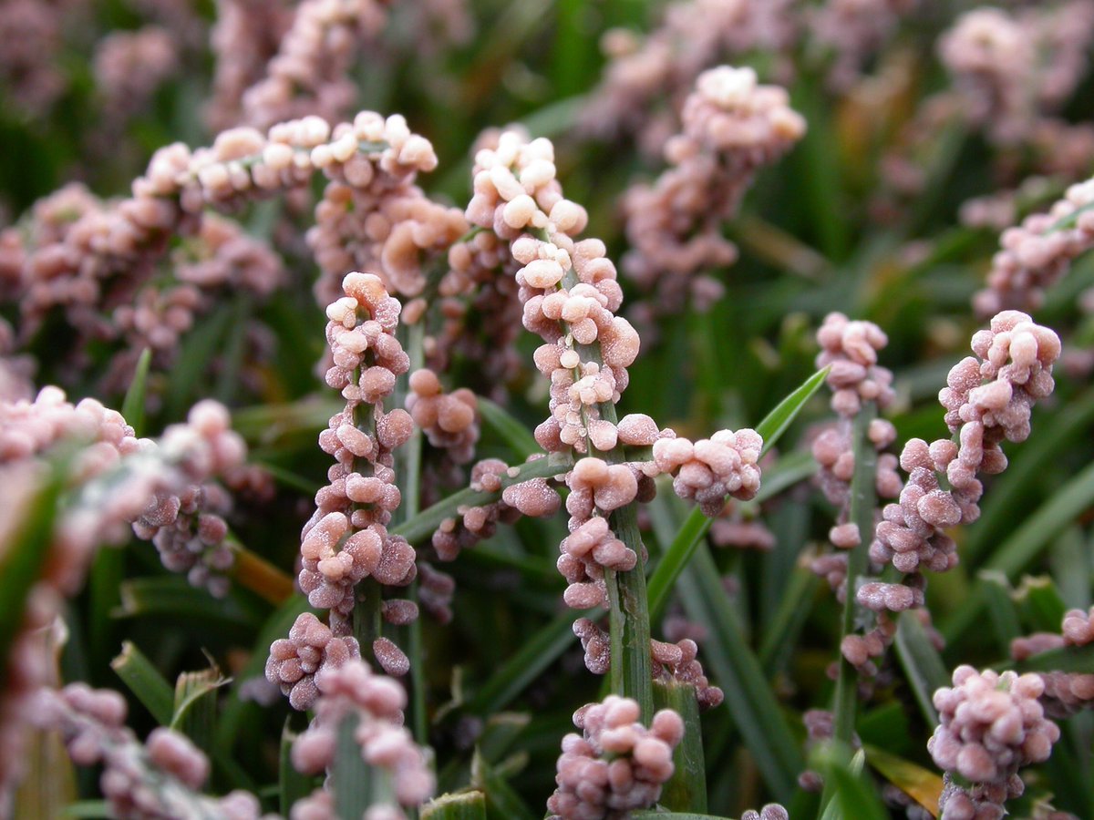 Here’s my favorite photo. 

I want to be one of the many stories on social media where people gain like zillions of followers for tweeting out random stuff. Let’s help make that happen for me.

A like and a RT would be appreciated. 💁🏻‍♂️

#coronavirus #Covid_19 #CoronaUpdate