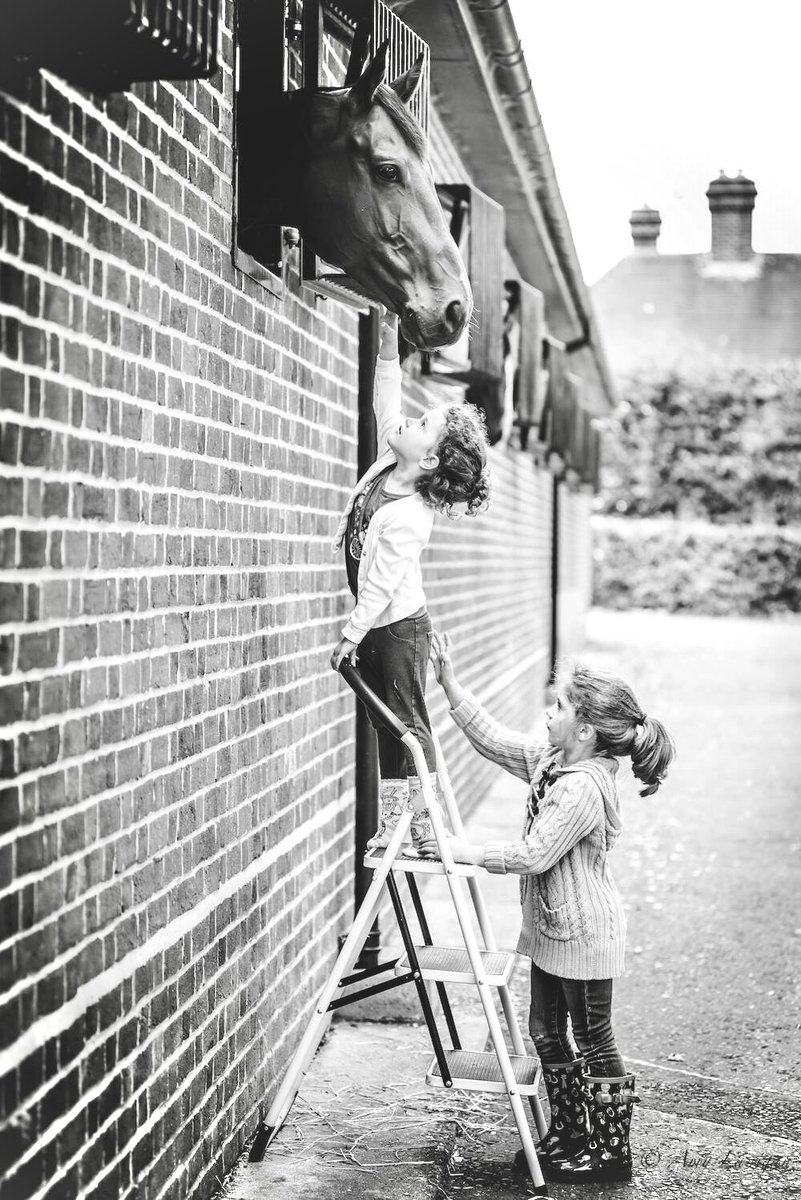 Amy Lanigan Photos tweet media