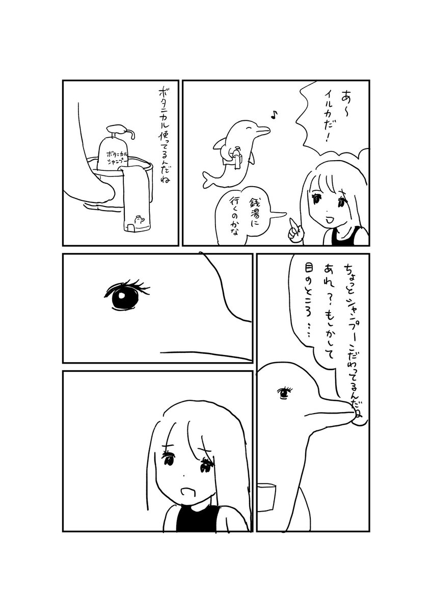 イルカはいるか 