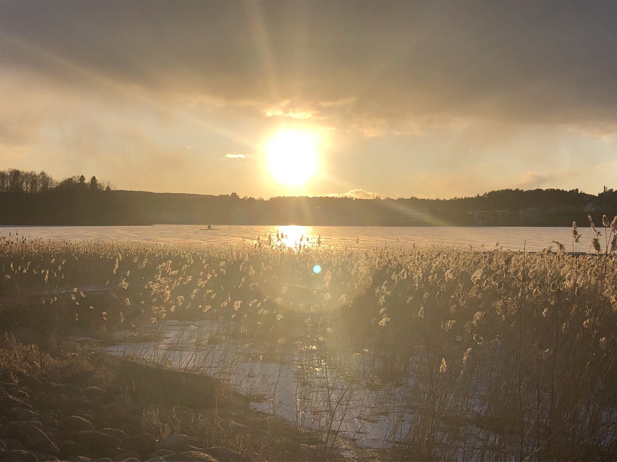 Aigi Margus (@aigimargus) on Twitter photo Day 2/7 of my life in pictures. Rules no words, no people, nominate someone new each day. I was nominated by <a href="/LeenaLindstrom/">Leena Lindström</a> and <a href="/EKostiainen/">Emma Kostiainen</a>. I nominate @SebaDeBona Day 2/7 of my life in pictures. Rules no words, no people, nominate someone new each day. I was nominated by <a href="/LeenaLindstrom/">Leena Lindström</a> and <a href="/EKostiainen/">Emma Kostiainen</a>. I nominate @SebaDeBona