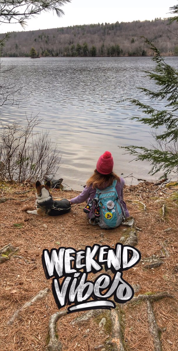 CourtV117's tweet photo. Finding peace on the trails with my dog 🌿 ☮️ https://t.co/AUBHDuAnvB