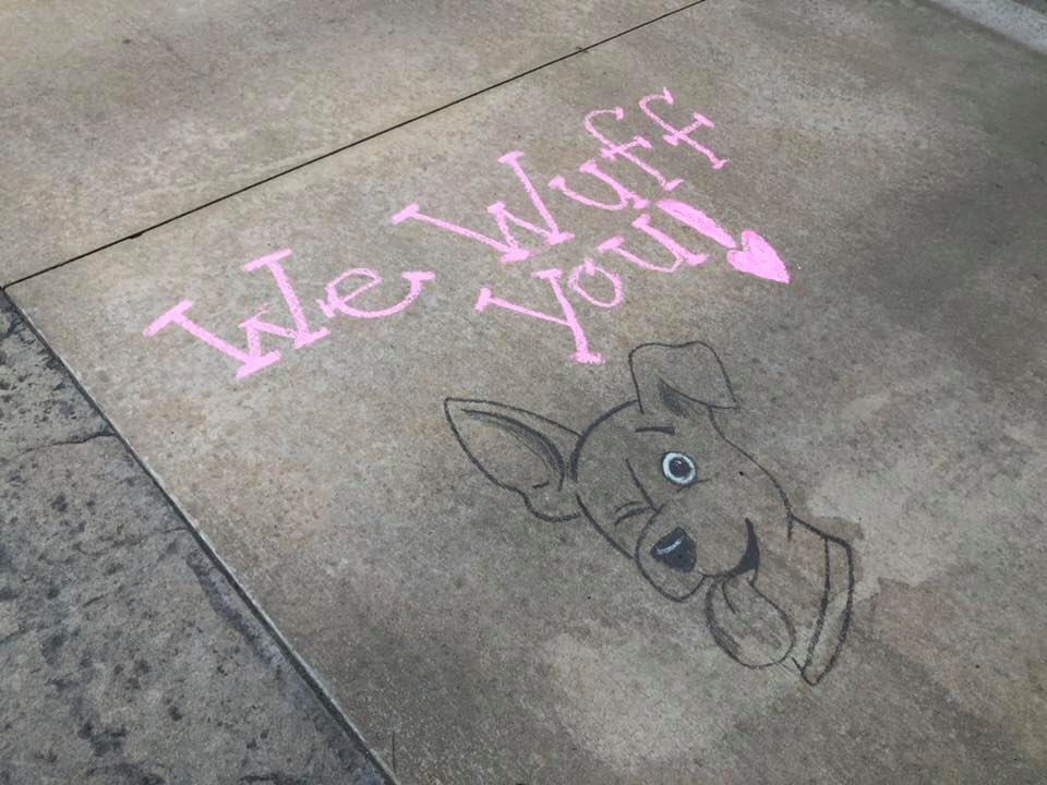 maggieKTVB7's tweet photo. #7sHero This is a tough time for kids. They are missing school, their teachers, &amp; their daily routine. Look what some teachers did for their second grade students (before the stay at home order). They chalked their walks to encourage and love them from afar! Watch at 10pm. @KTVB https://t.co/Foen2ZIti9