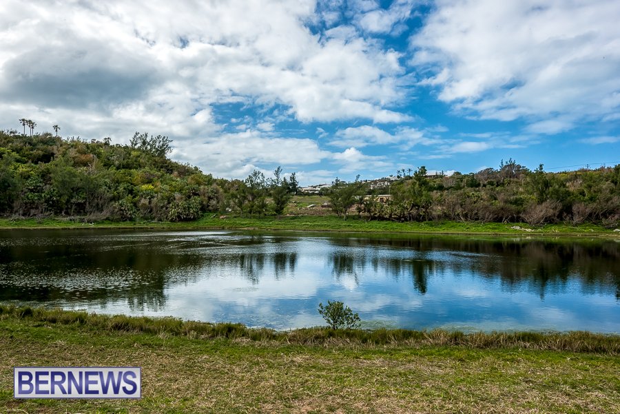 bernewsdotcom's tweet photo. Clouds float above and reflect on Spittal Pond.
#Bermuda #ForeverBermuda #BermudaParks https://t.co/QdmhUe4XA1