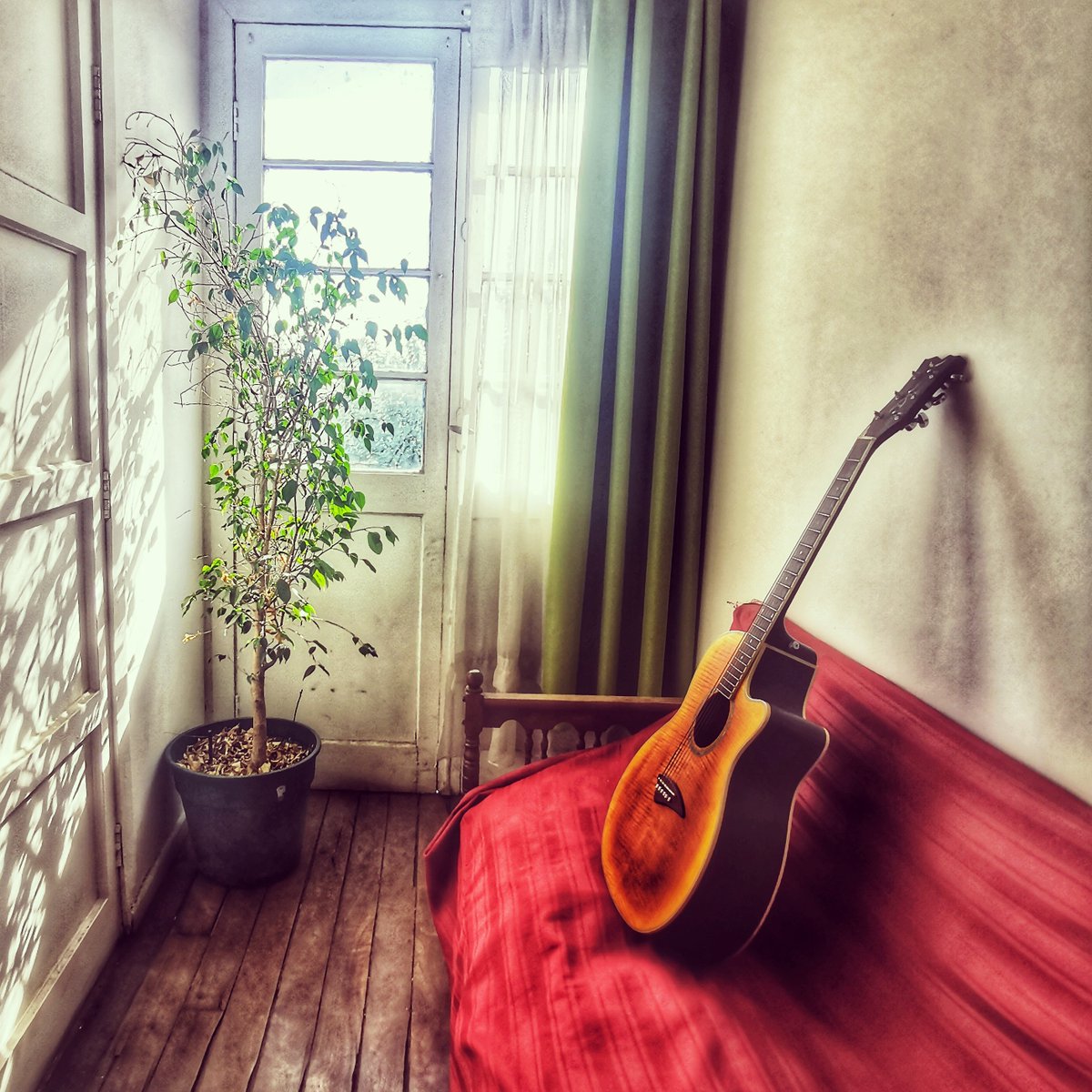 Alejandro Kiroz tweet media