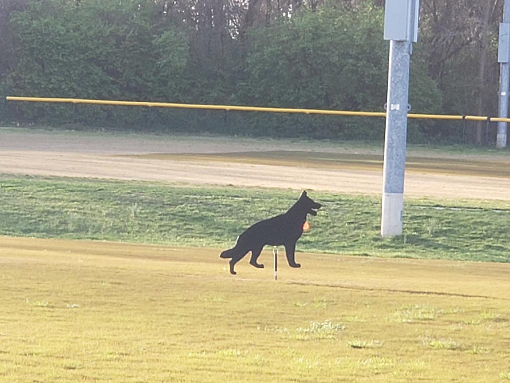MarkPierzchala's tweet photo. At Mattie Stepanick park. New turf going in on the football field. Is this a scare dog? There are 2 of them. https://t.co/x583csHmSz