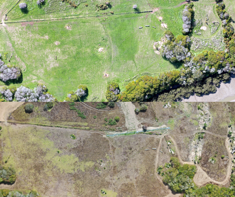 Farming with Native Biodiversity tweet media