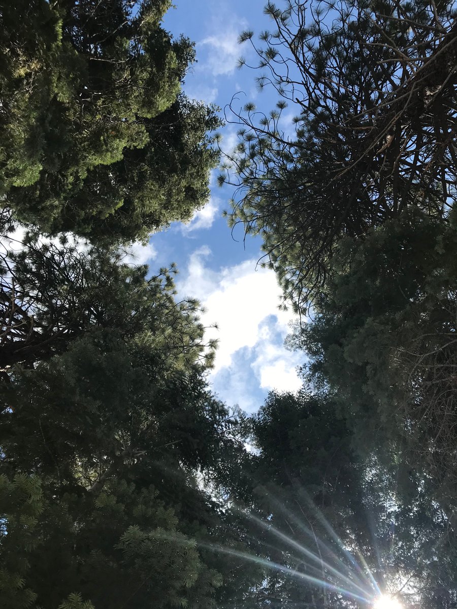 amomymous1's tweet photo. #SundayThoughts “In this #coronaworld let’s see the #beauty in #everyday things” #Gratitude #Hope #QuarantineLife #Sundayfunday #StayHealthyEveryone #MentalHealthMatters #InThisTogether https://t.co/YRvDjOZ17h