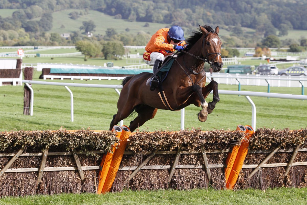 Bryan Drew (@bjcd7) on Twitter photo 